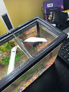 VFuck4U xxx online show from 03/10/25, 01:21