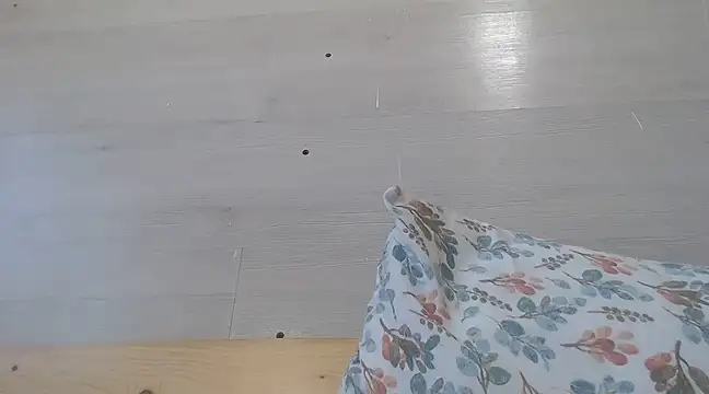 CRISTIINA37 online show from 03/19/25, 12:34