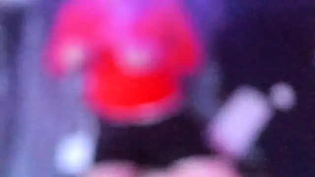 stillwild online show from 07/14/26, 04:06