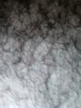 Hairyarabguy online show from 05/14/26, 11:11