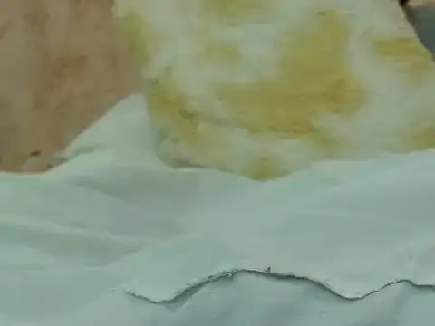 Snapshot of hairy_pussywet chatting on 02/04/25, 12:40 hairy pussywet online show from 02/04/25, 12:40