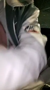 Zeefy online show from 01/16/25, 06:48