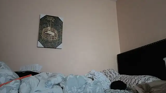 hailzeffn online show from 11/02/25, 12:29