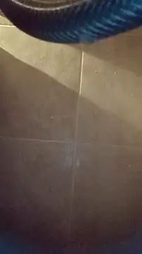 whitetrashdirtyslut online show from 12/04/25, 03:16