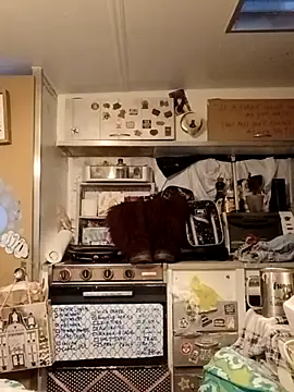 whitetrashdirtyslut online show from 03/18/26, 01:14