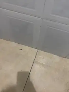 rafahpirusudo online show from 03/18/26, 09:01