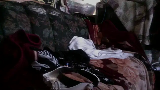 Phelyxx elgato online show from 12/09/24, 12:12