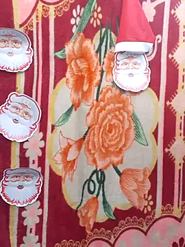 Snapshot of Burhade-- chatting on 12/25/24, 02:14 Burhade-- online show from 12/25/24, 02:14