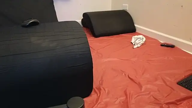 pantslesstraveler plt online show from 02/03/25, 01:52