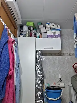 Javier bear online show from 12/19/25, 01:40