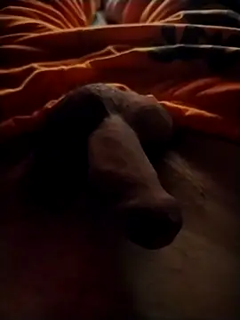 Luiz 097 online show from 09/13/25, 06:46