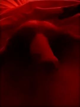 Luiz 097 online show from 01/15/26, 05:56