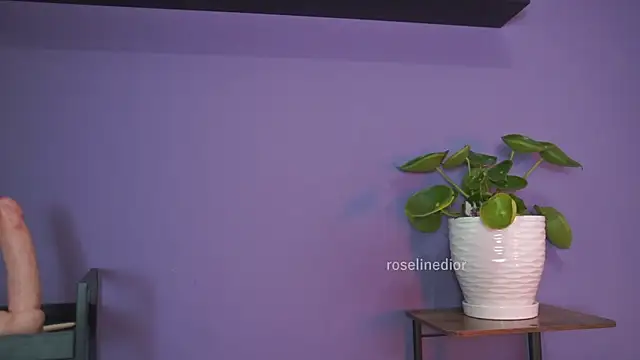 roselinedior online show from 05/26/26, 01:29