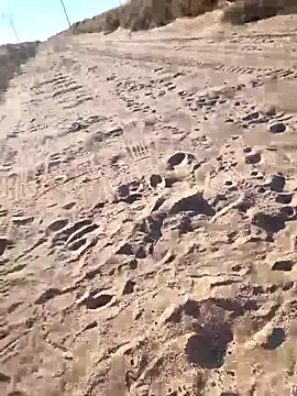 Snapshot of prettyboi6992 chatting on 03/01/26, 11:51 prettyboi6992 online show from 03/01/26, 11:51