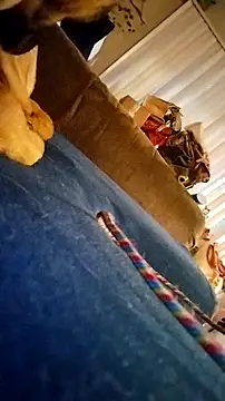 fukurbutt online show from 02/19/26, 03:41