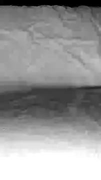 BigAssKi online show from 02/03/25, 03:06