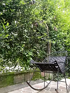 sebasxx97 online show from 02/17/26, 03:19