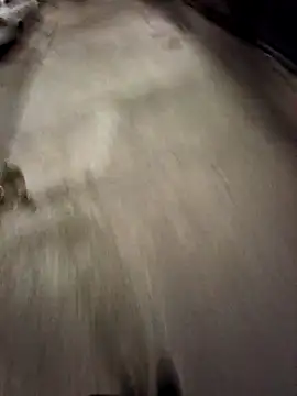 BandidodeAmores 84 online show from 10/19/25, 03:07