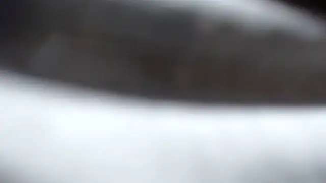 BERNINIBLUSHX89 online show from 03/10/25, 04:03