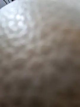 Kamarasa69 online show from 12/18/25, 08:53