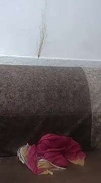 Aaradhya online show from 02/24/25, 03:33