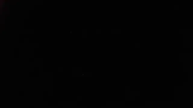 White daisy online show from 01/04/25, 02:04