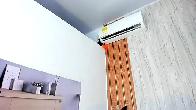 Alika01 online show from 04/12/26, 03:06