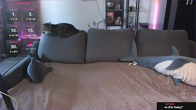 Clairedelilah online show from 01/21/25, 08:32