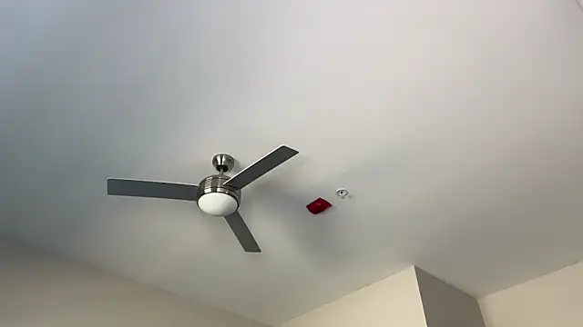 ElenaErickson online show from 03/19/25, 08:32