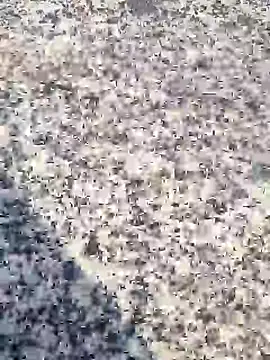 Beijing2000 online show from 01/30/25, 12:39