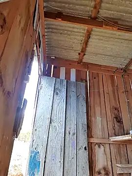 fernandes v online show from 01/25/25, 04:03