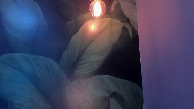 sweett dirty online show from 01/27/25, 06:20