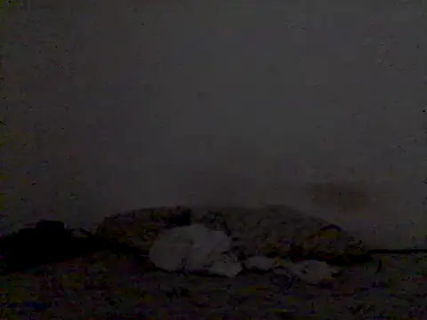 mariy  online show from 03/03/25, 09:48