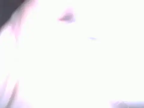 BobbyQ29 online show from 04/25/26, 12:24