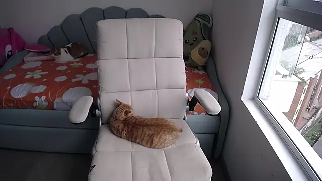  arianalzate  online show from 01/29/25, 08:04