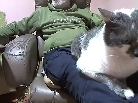 zormen355 online show from 04/03/26, 05:22