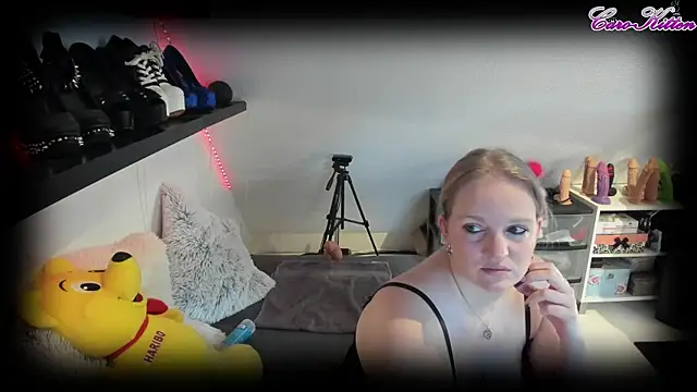 caro kitten online show from 02/15/25, 10:22