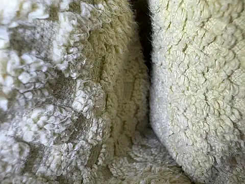 Snapshot of Amarok39 chatting on 02/13/25, 12:54 Amarok39 online show from 02/13/25, 12:54