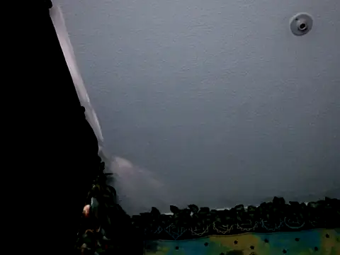 chanel 1041 online show from 01/03/25, 09:36