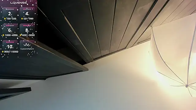 FaloonRoussel online show from 11/30/25, 06:12