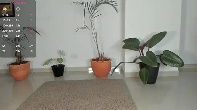 AnaHenao online show from 12/17/25, 11:55