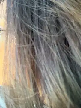 miacanela xo online show from 10/11/25, 10:08