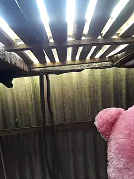 HotSexyBoudi online show from 09/25/25, 08:51