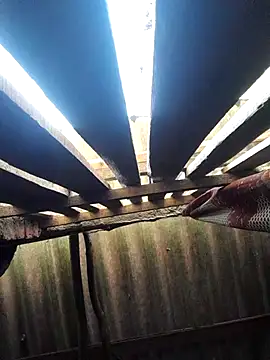 HotSexyBoudi online show from 10/16/25, 08:48