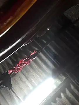 HotSexyBoudi online show from 11/04/25, 08:46