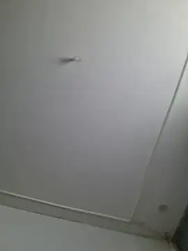 Maryan27 online show from 02/02/26, 11:53