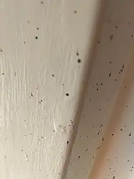 camila picante online show from 04/04/26, 02:47