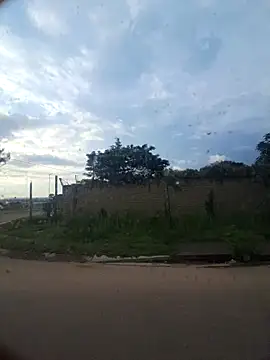 Petrossa online show from 11/29/25, 04:15