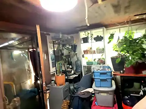 trash4cash online show from 01/13/26, 10:04