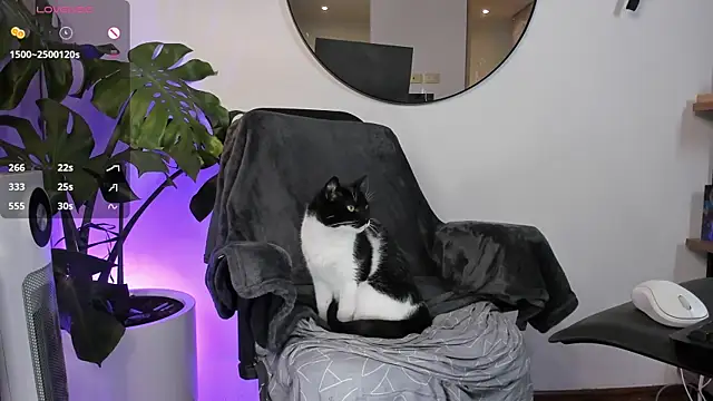 ariana fitl  online show from 01/28/25, 03:47